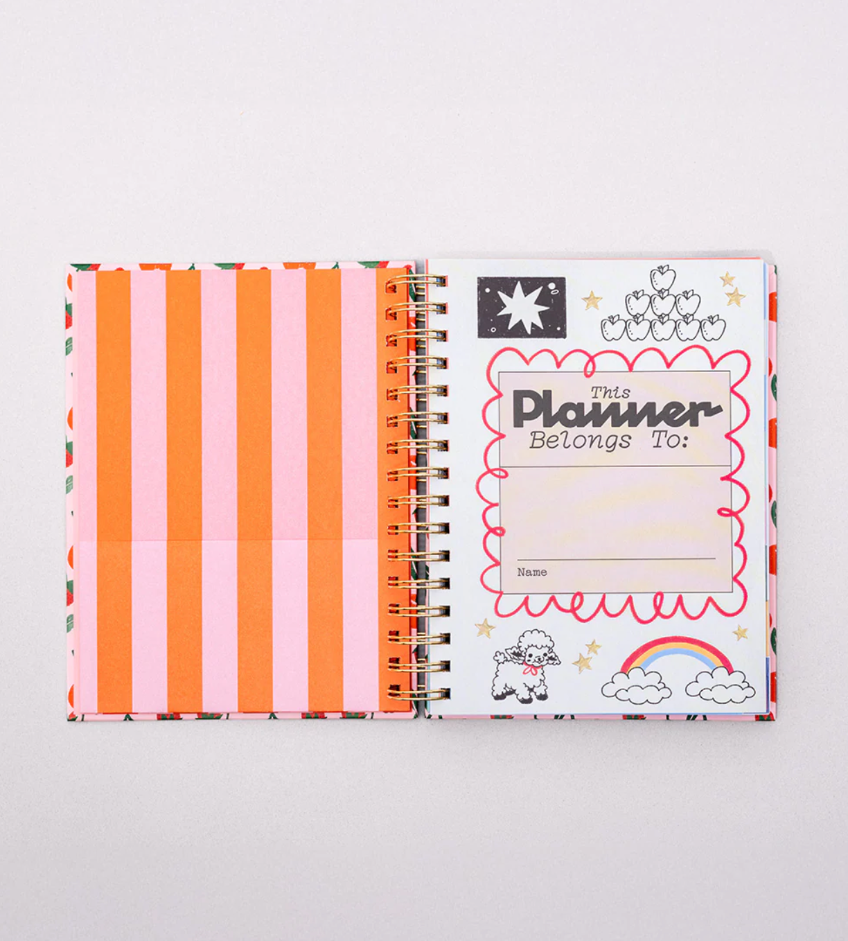 MEDIUM 17-MONTH ACADEMIC PLANNER - INFINITE POTENTIAL