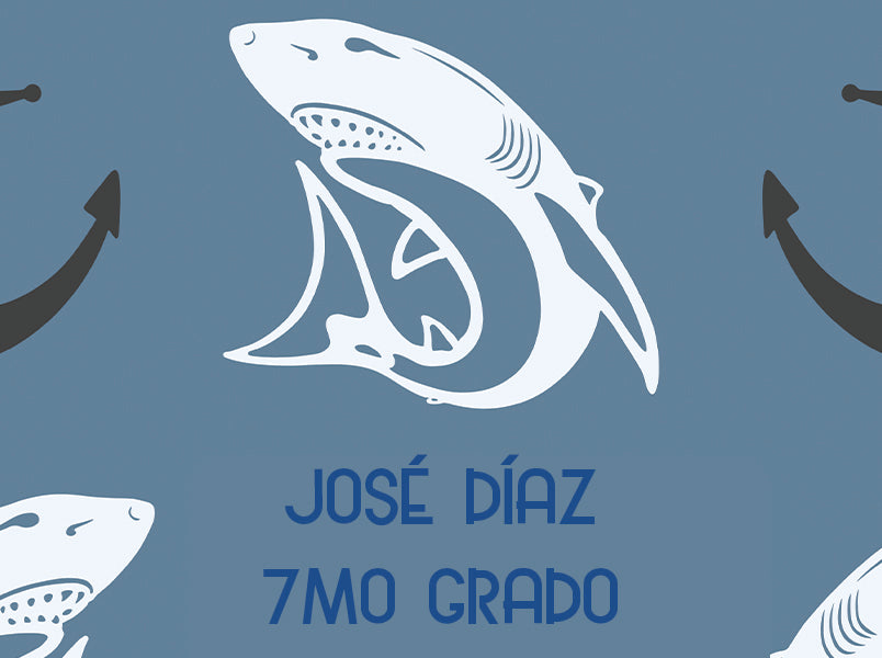 b2s2025-19