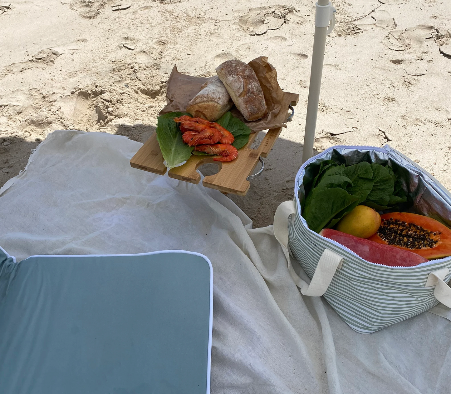 Portable Picnic Table