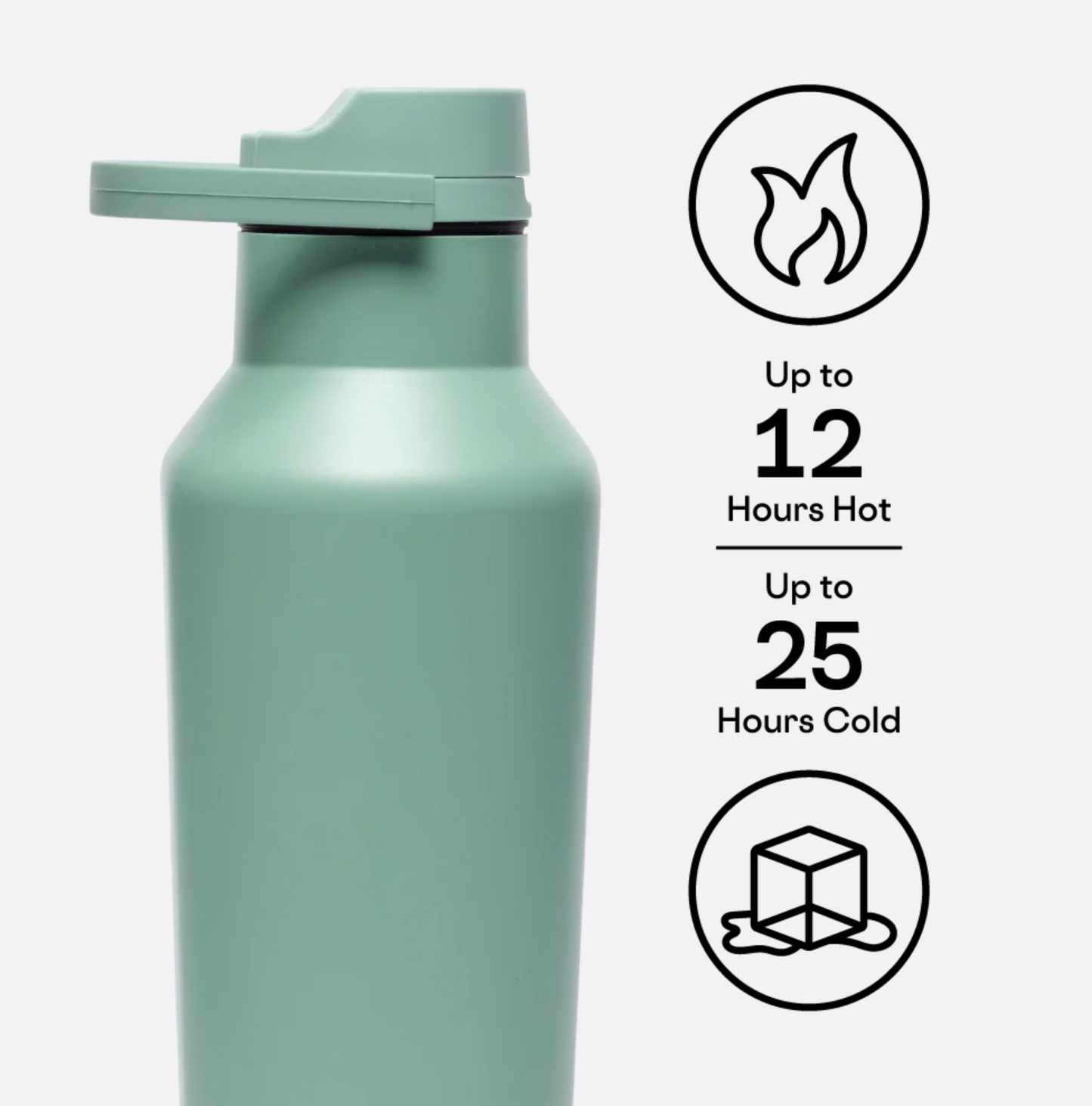 Sport Canteen 20oz Thyme